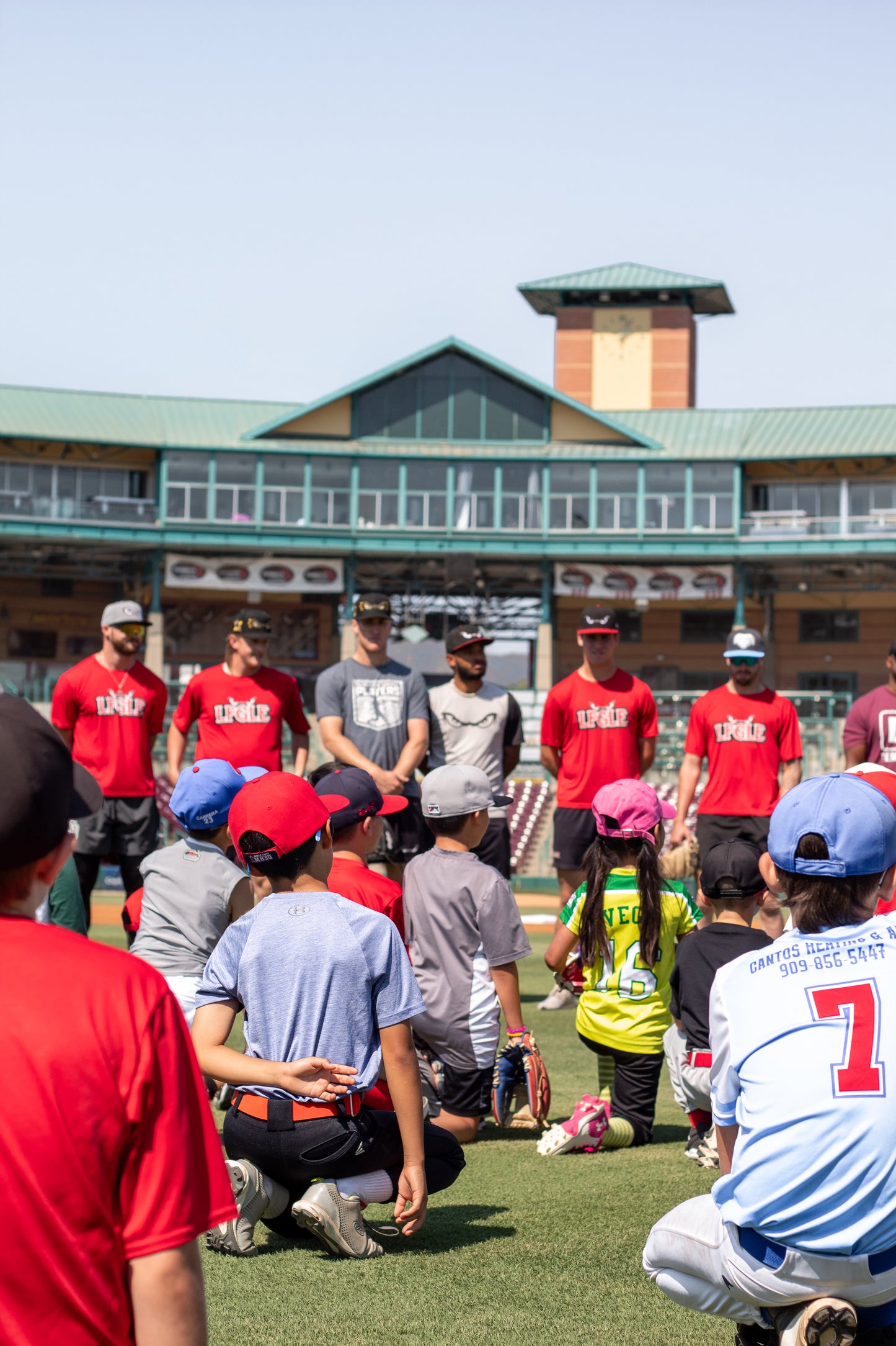 All Purpose Baseball Clinic Presented by D1 Training (Sunday, October 13th)