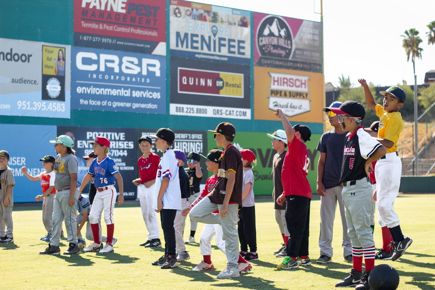 All Purpose Baseball Clinic Presented by D1 Training (Sunday, November 10th)